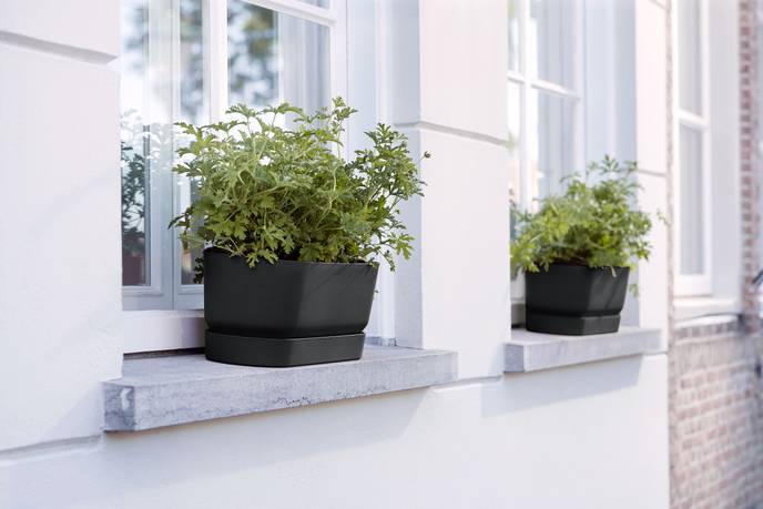 greenville pflanzgefäß lang 50cm living schwarz